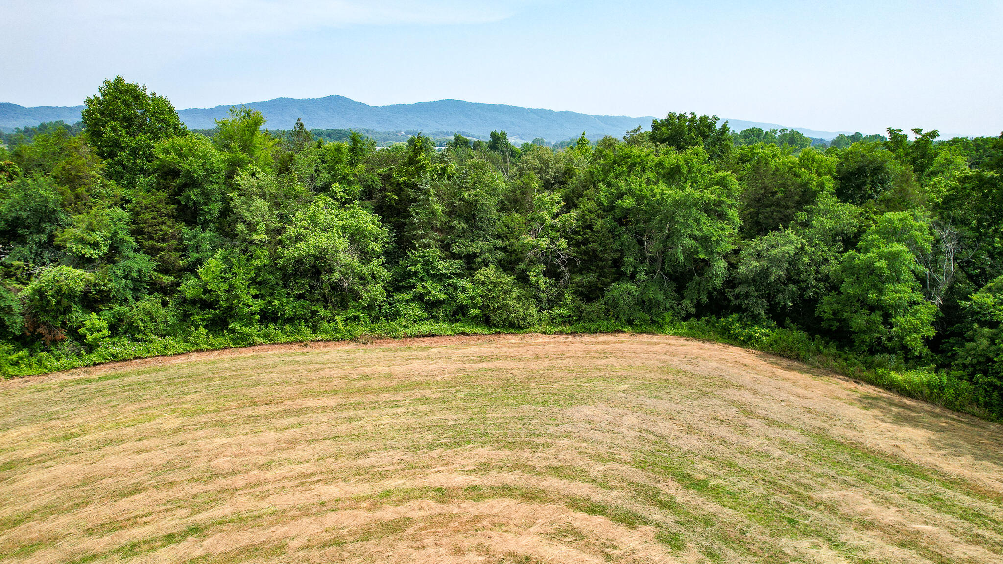 Tbd Tbd Woodlawn Road Greeneville, TN 37745 - Photo 4 of 17 DJI_0125