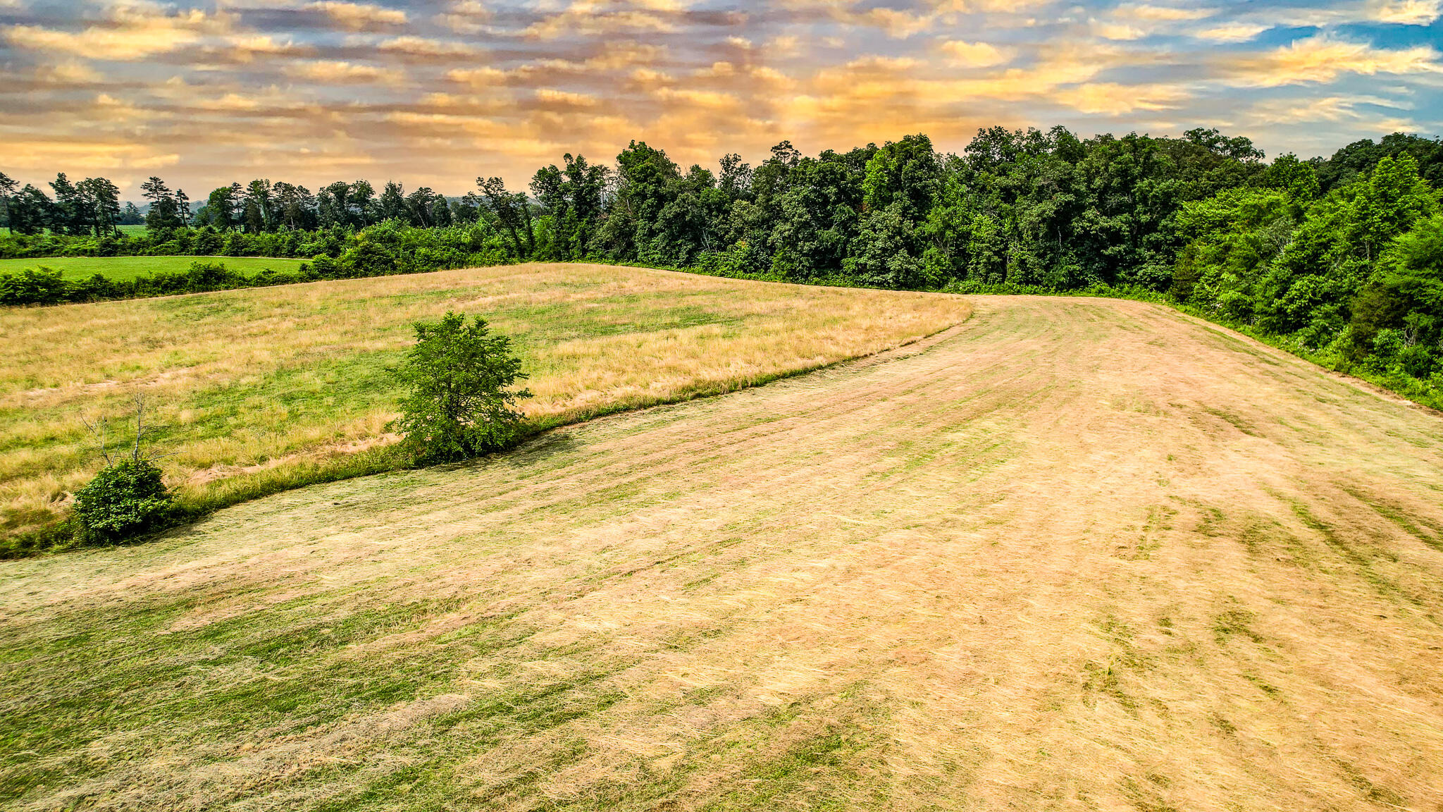 Tbd Tbd Woodlawn Road Greeneville, TN 37745 - Photo 5 of 17 DJI_0127-Edit