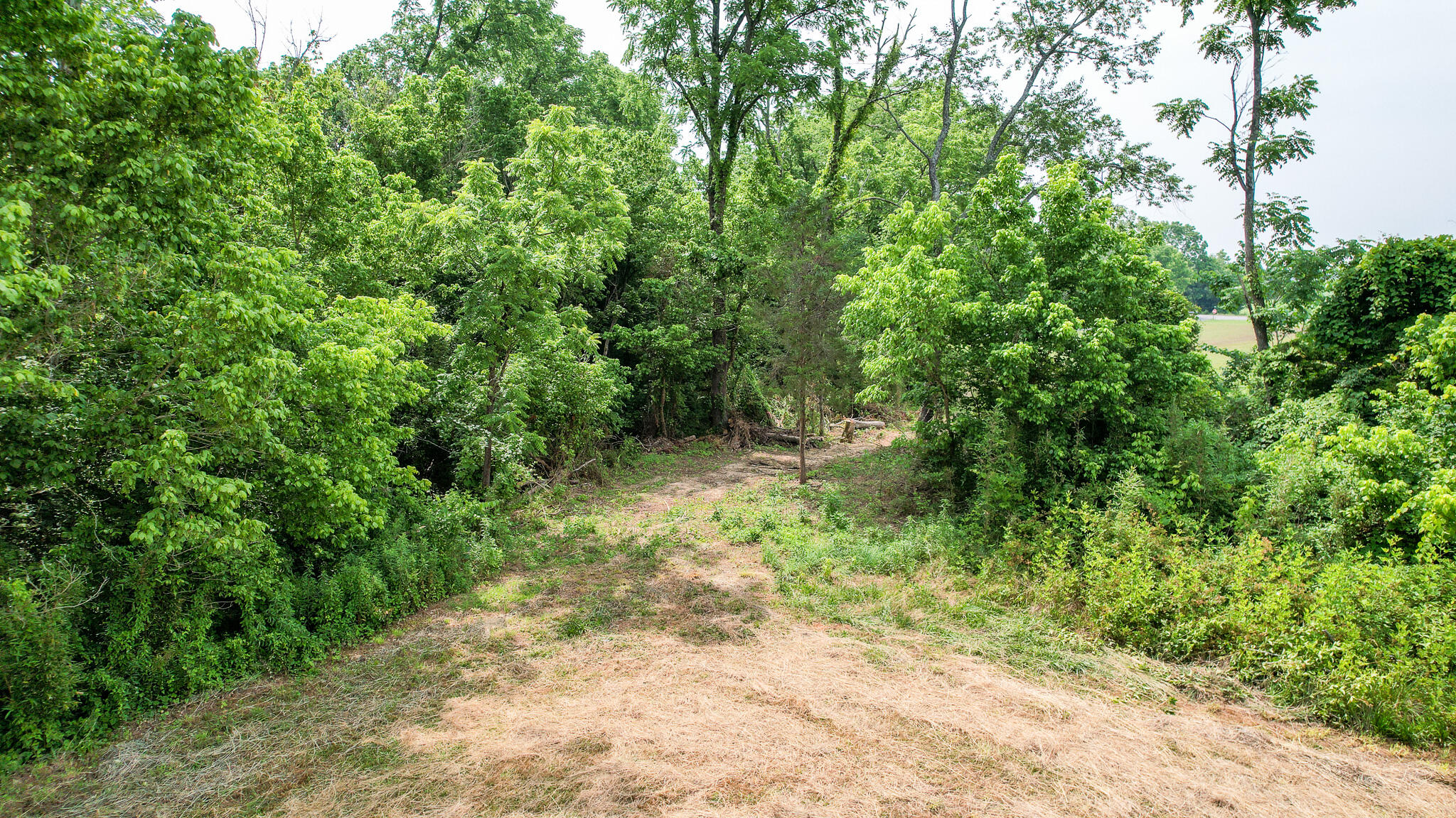 Tbd Tbd Woodlawn Road Greeneville, TN 37745 - Photo 6 of 17 DJI_0129
