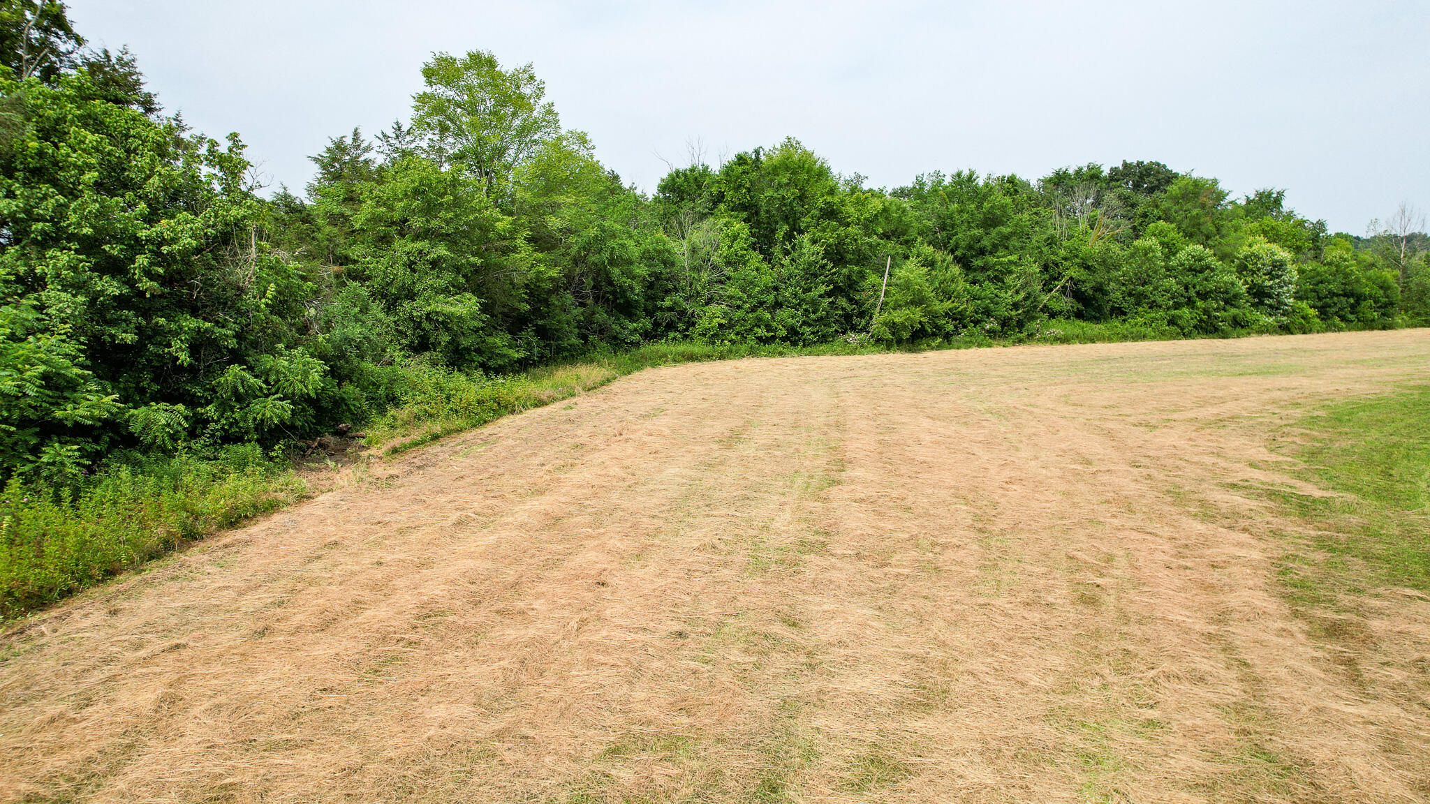 Tbd Tbd Woodlawn Road Greeneville, TN 37745 - Photo 7 of 17 DJI_0130