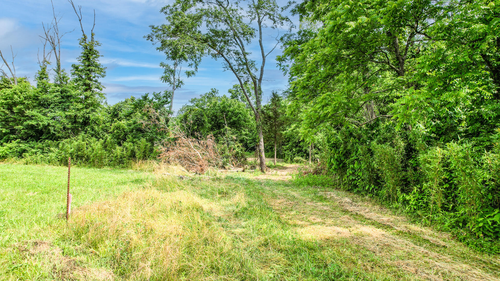 Tbd Tbd Woodlawn Road Greeneville, TN 37745 - Photo 9 of 17 DJI_0139-Edit