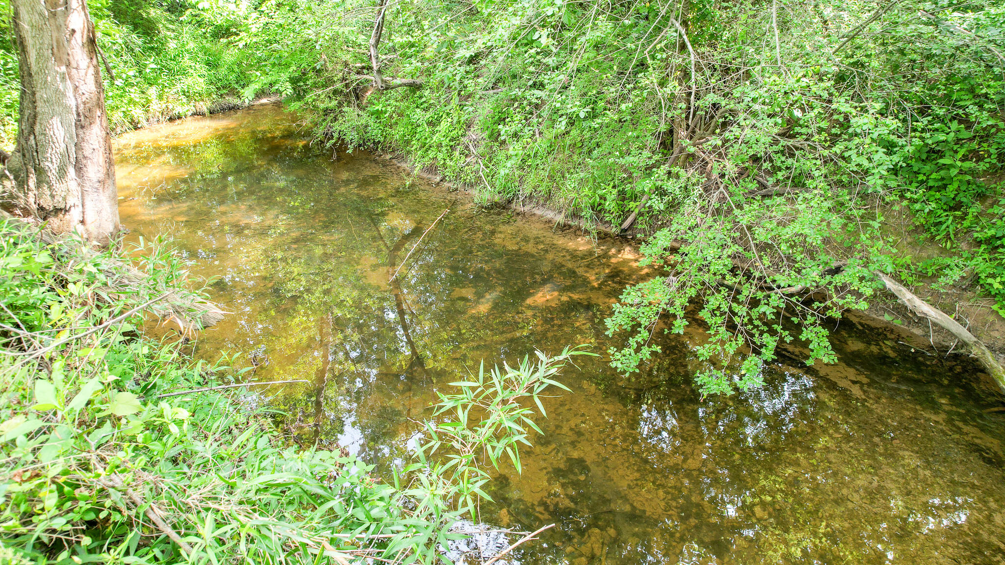 Tbd Tbd Woodlawn Road Greeneville, TN 37745 - Photo 10 of 17 DJI_0144