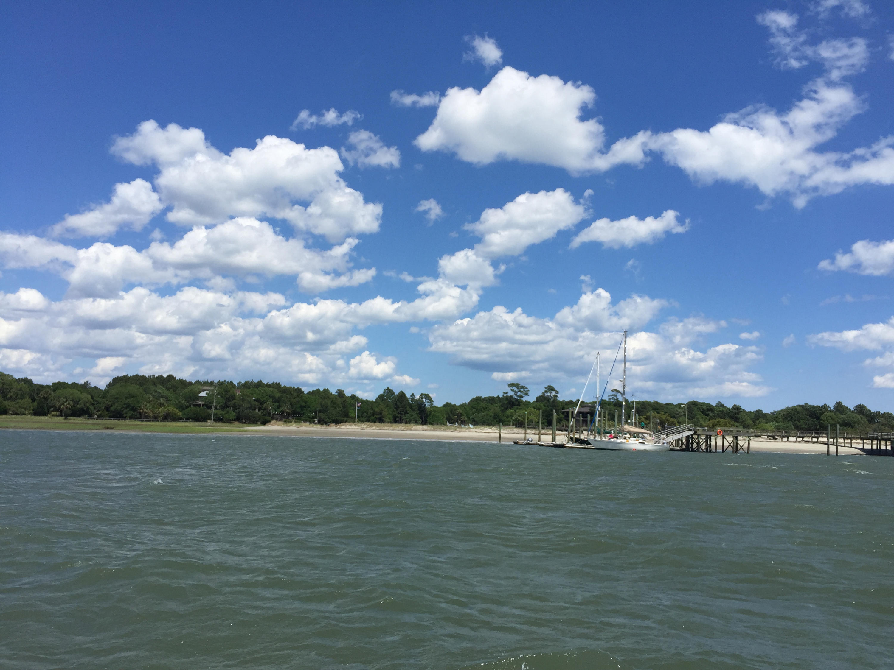 153 Dewees Inlet Drive Dewees Island, SC 29429 - Photo 43 of 43 IMG_4546