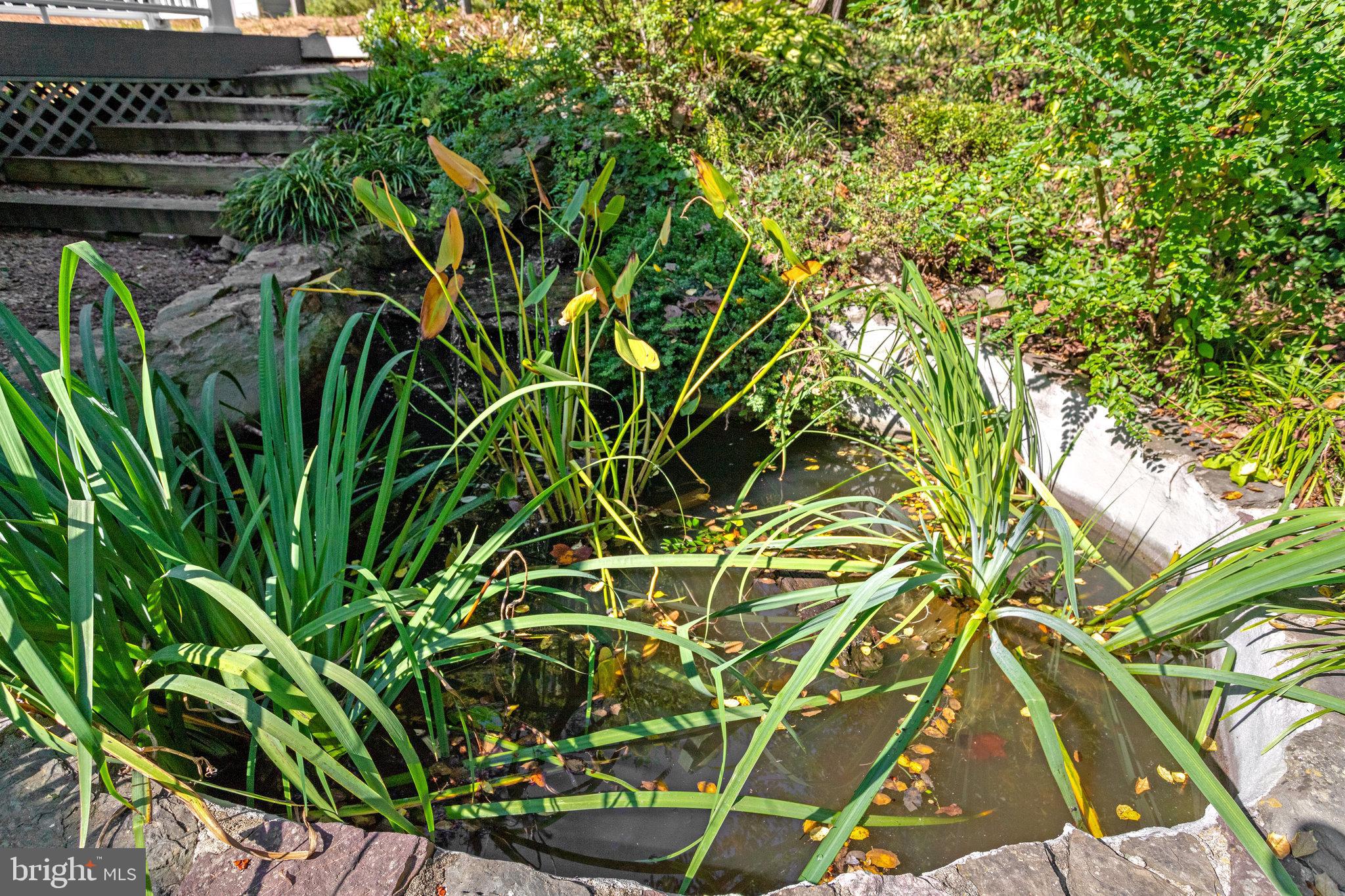 6808 Houndmaster Road Springfield, VA 22152 - Photo 86 of 88