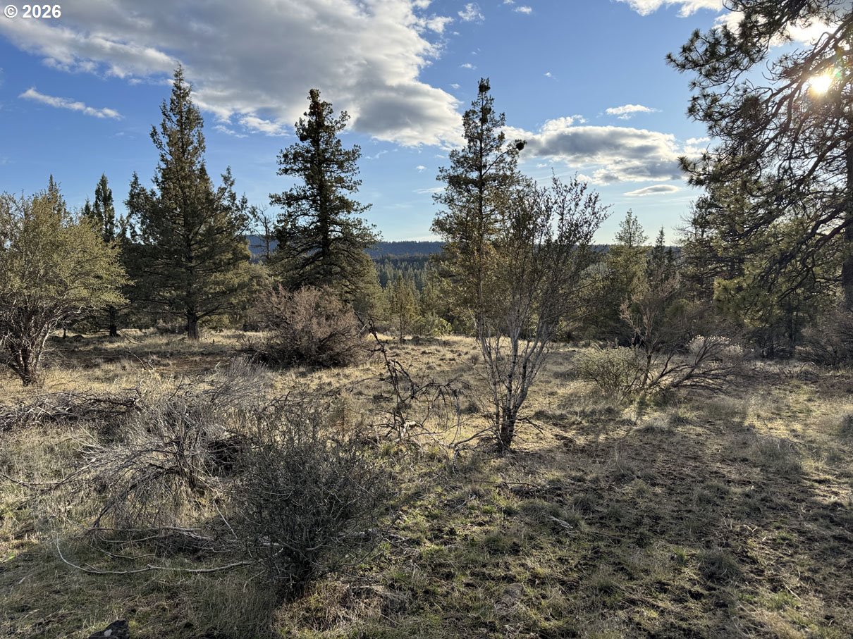 Canvasback Drive, Unit 36 Bonanza, OR 97623 - Photo 25 of 47