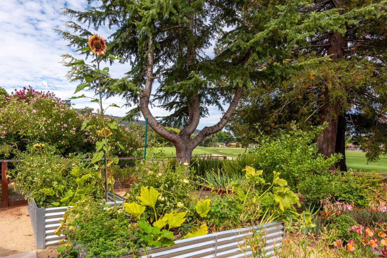 304 Mockingbird Circle Santa Rosa, CA 95409 - Photo 49 of 50 Gallery Image 49