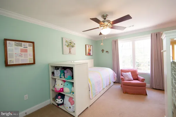 a living room with furniture and a book shelf