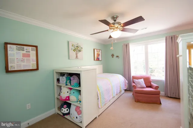 a living room with furniture and a book shelf