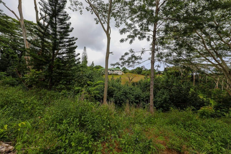 37 Omao Road Koloa, HI 96756 - Photo 28 of 29