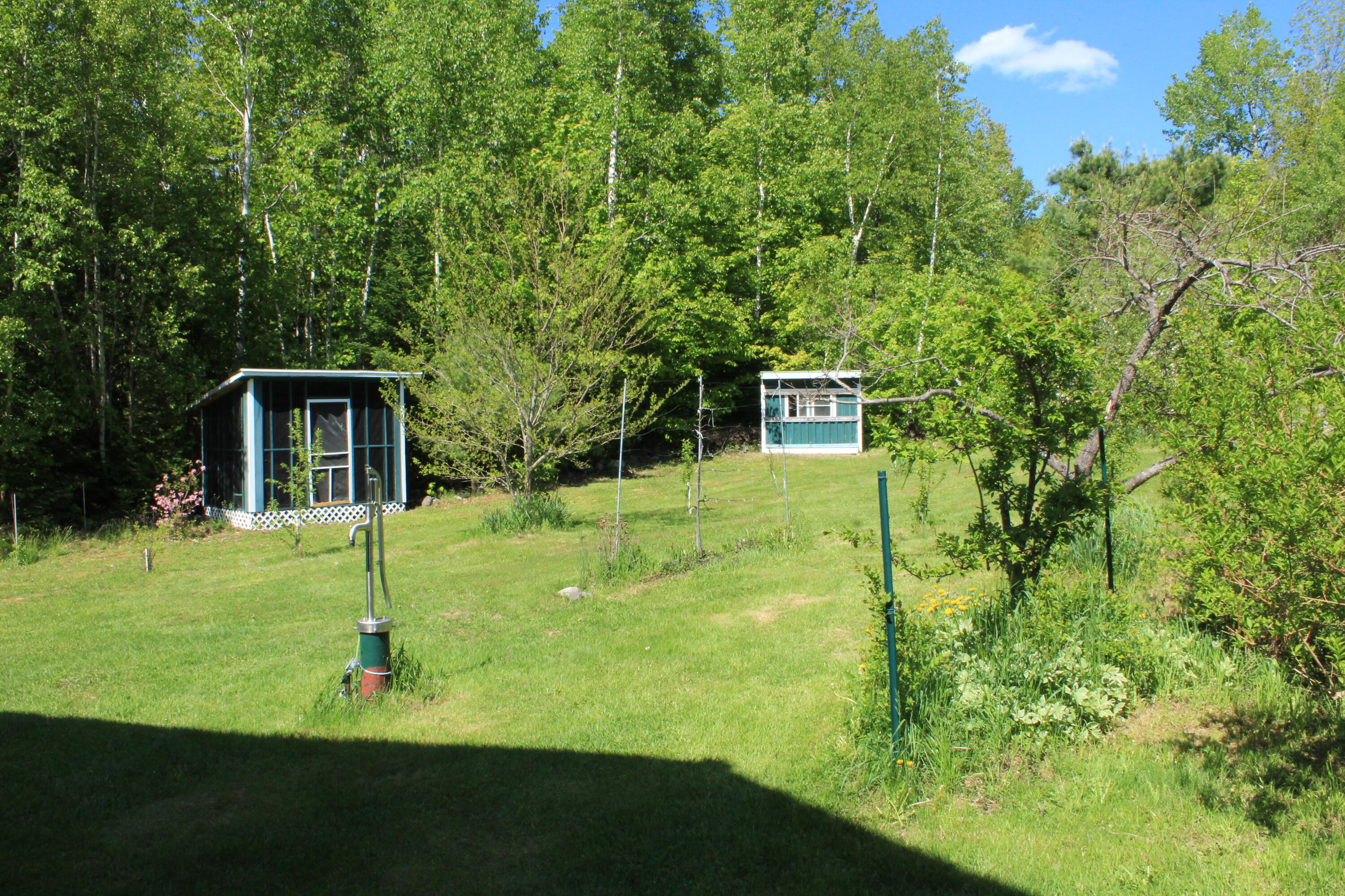 47 Tower Hill Road Medford, ME 04463 - Photo 52 of 66 front garden