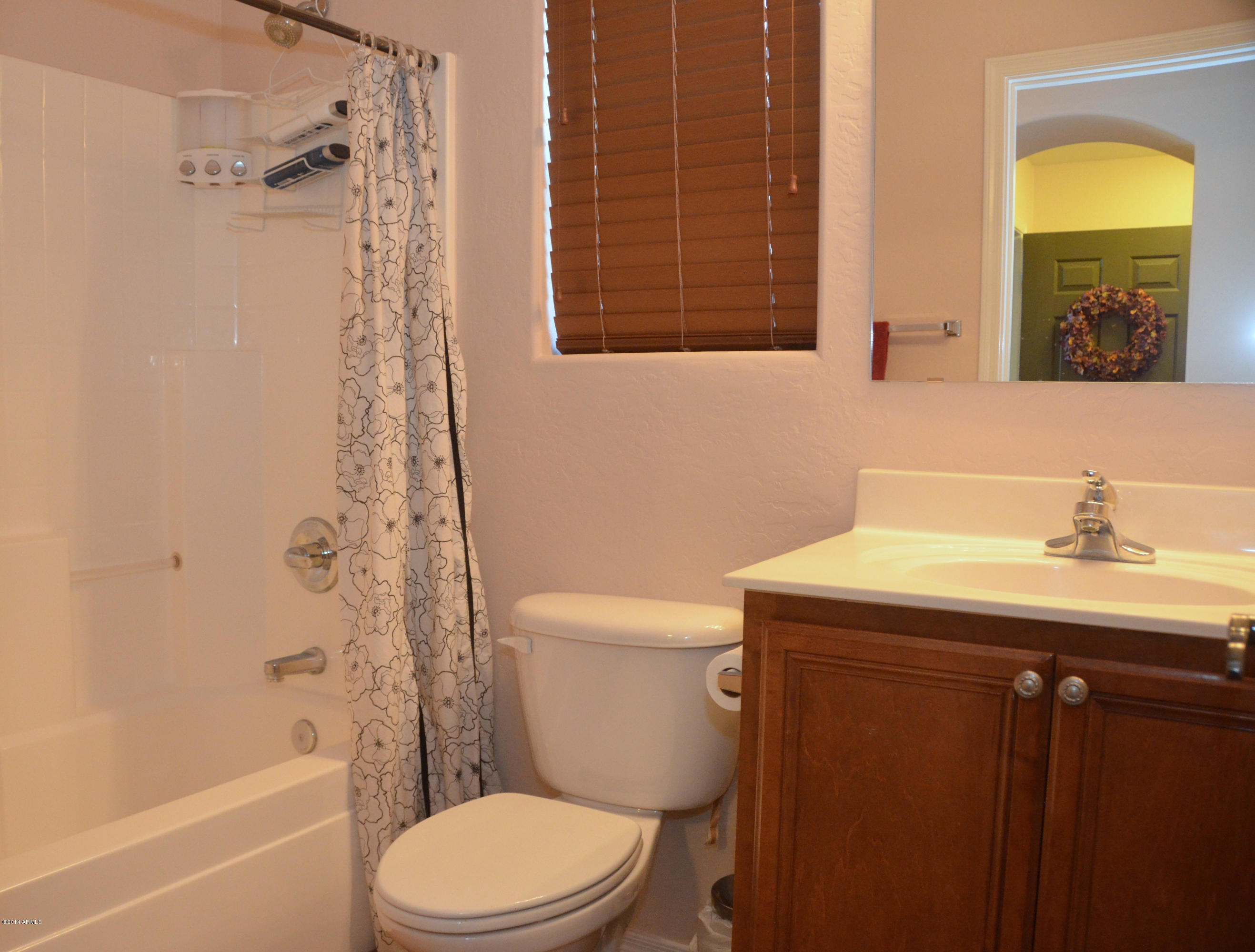 4230 South Sawmill Road Gilbert, AZ 85297 - Photo 18 of 28 Bathroom No 2