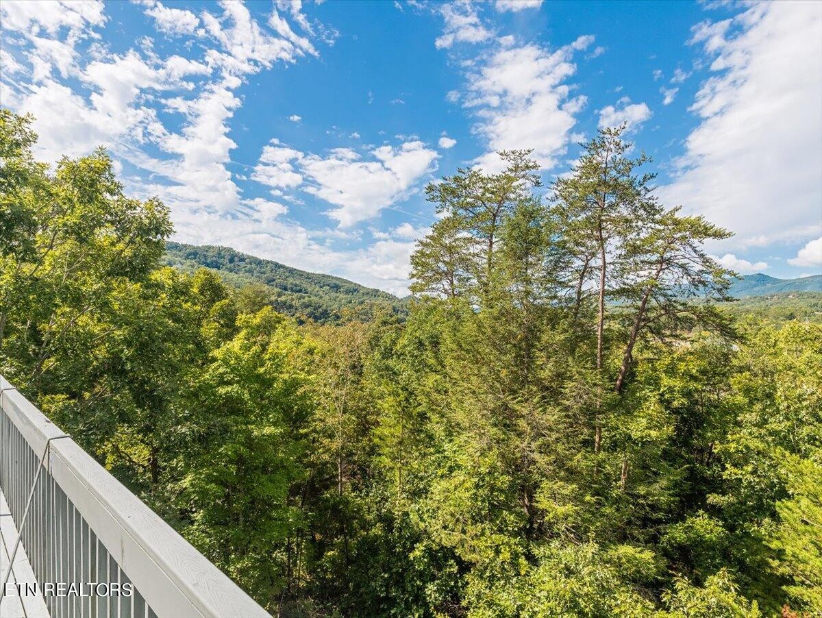 425 Stone Ridge Way Sevierville, TN 37863 - Photo 40 of 46 Gallery Image 40