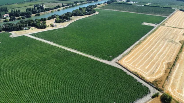 $1,850,000 | 13485 Isleton Road, Walnut Grove, CA 95641