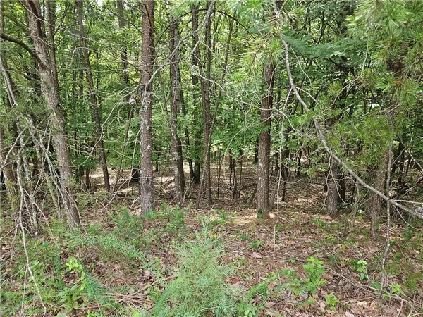 $55,000 | 0 Knollcrest Drive, Unit 61, Pinnacle, NC 27043