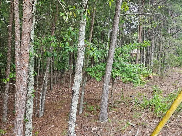 $55,000 | 0 Knollcrest Drive, Unit 61, Pinnacle, NC 27043