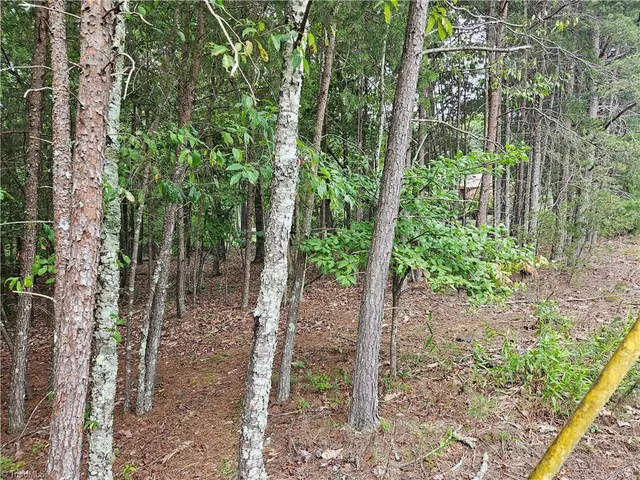 $55,000 | 0 Knollcrest Drive, Unit 61, Pinnacle, NC 27043