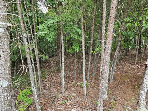 $55,000 | 0 Knollcrest Drive, Unit 61, Pinnacle, NC 27043