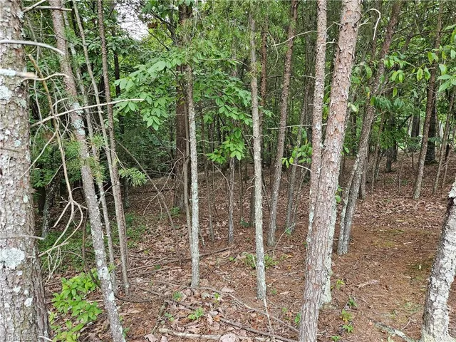 $55,000 | 0 Knollcrest Drive, Unit 61, Pinnacle, NC 27043