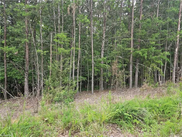 $55,000 | 0 Knollcrest Drive, Unit 61, Pinnacle, NC 27043