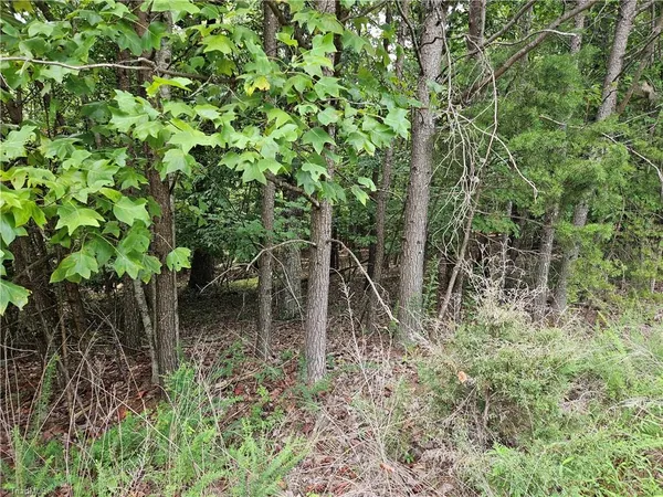 $55,000 | 0 Knollcrest Drive, Unit 61, Pinnacle, NC 27043