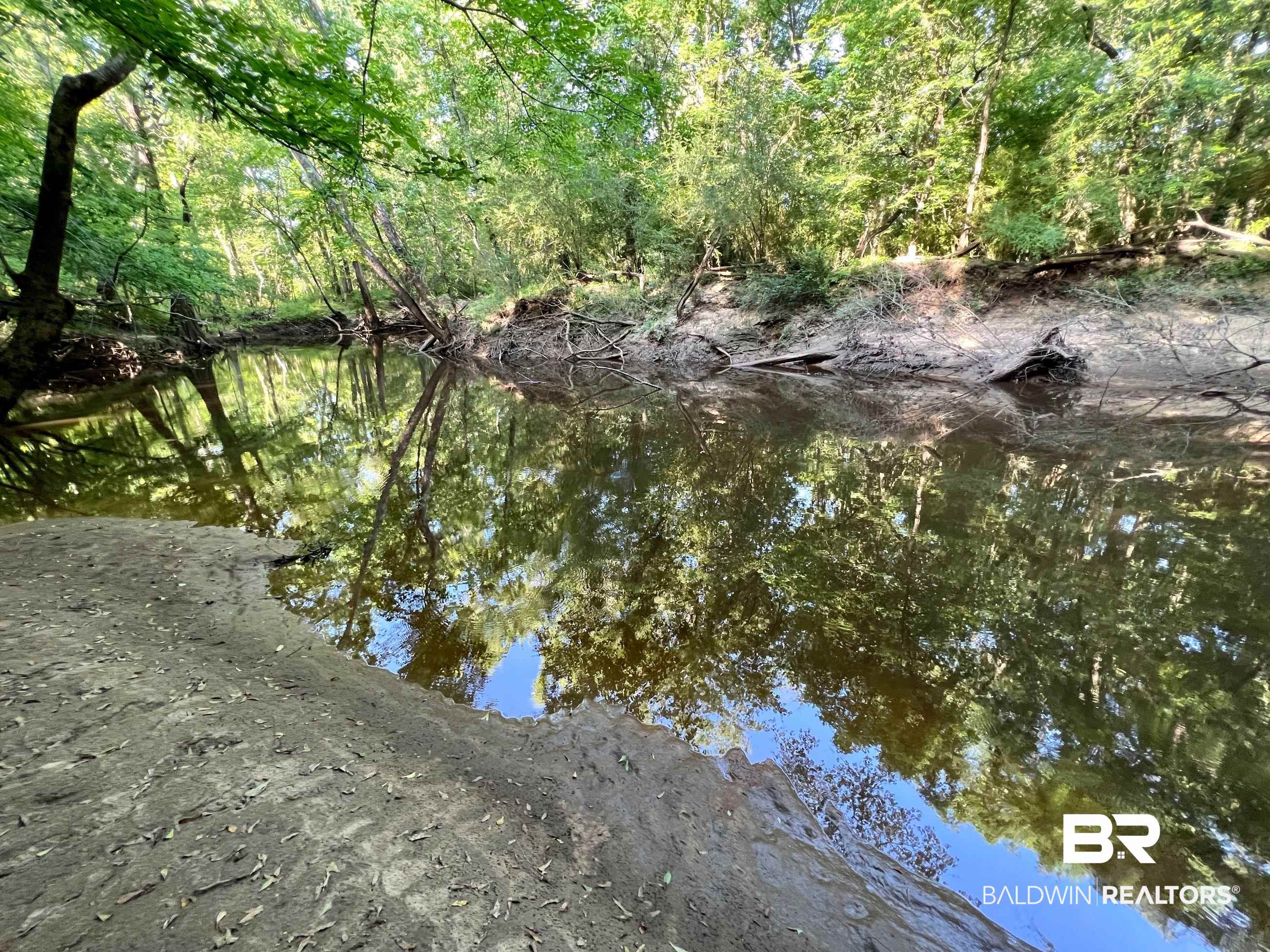 0 Country Road Millry, AL 36558 - Photo 18 of 49
