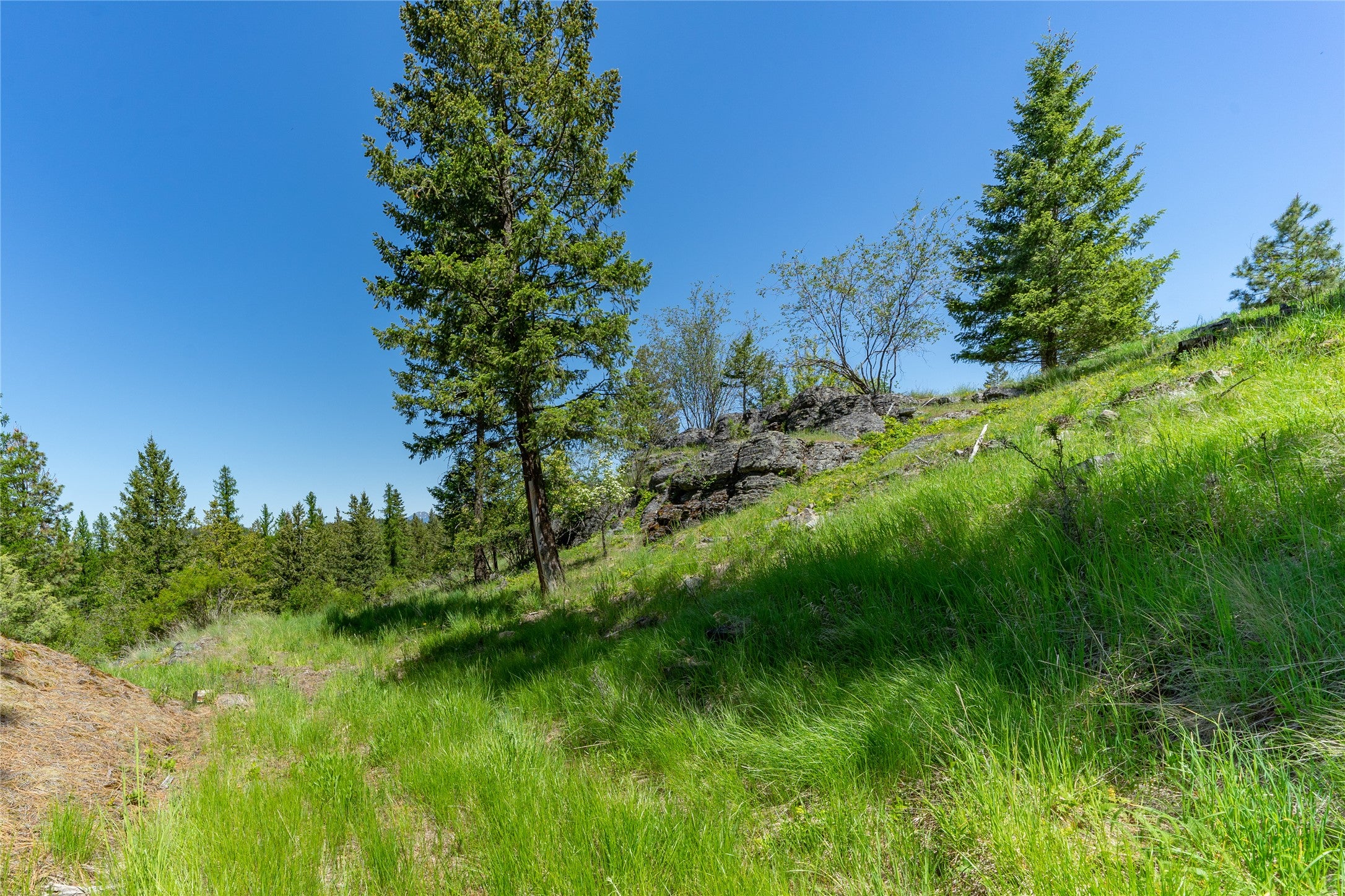 1193 Whispering Rock Road Bigfork, MT 59911 - Photo 43 of 48 Gallery Image 43