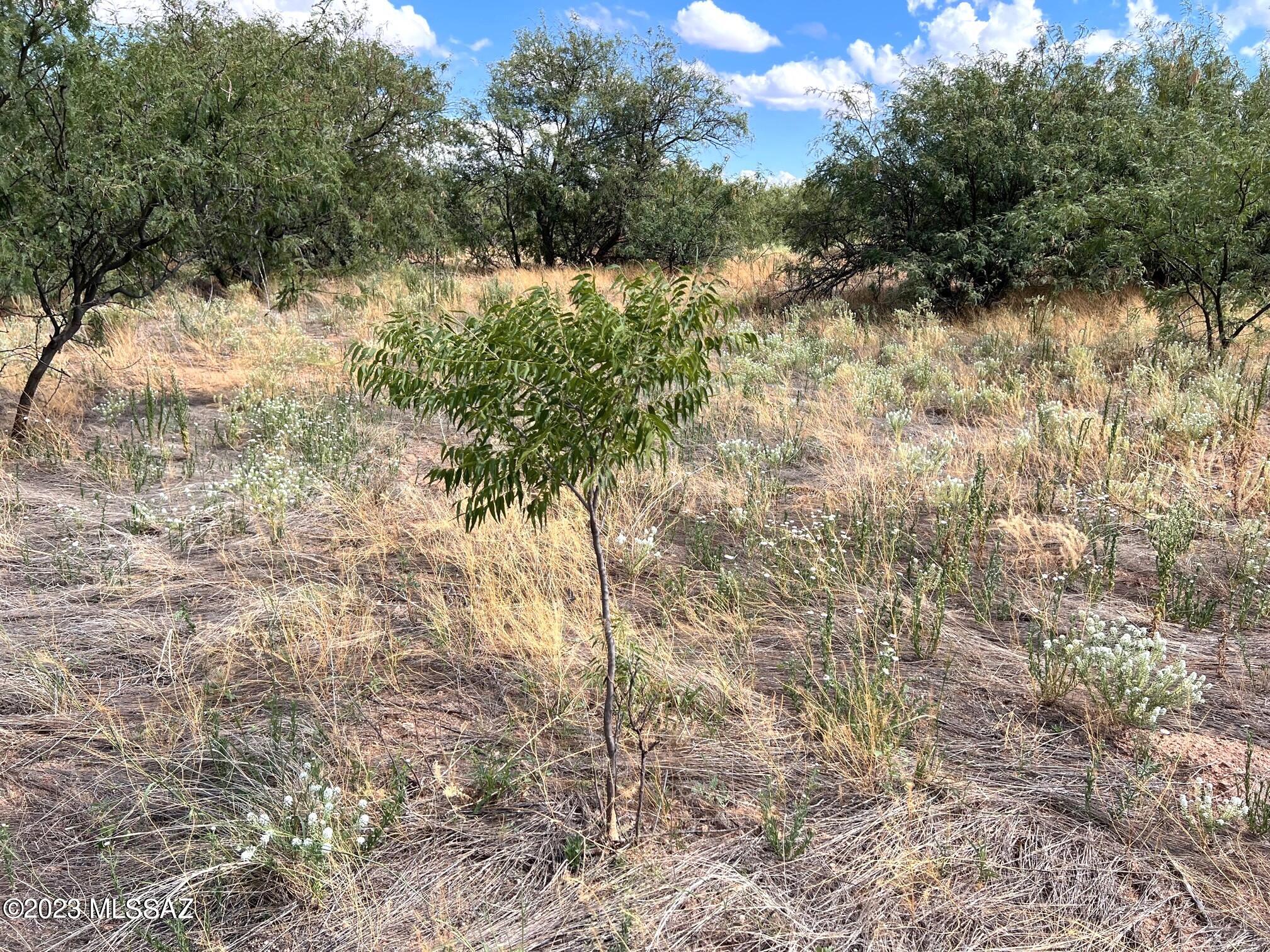 6.32-ac North Skyline Road, Unit 268 Pearce, AZ 85625 - Photo 16 of 17