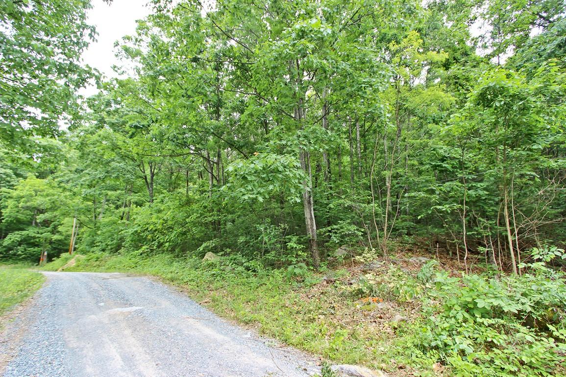 22.08-ac Neddy Mountain Road Del Rio, TN 37727 - Photo 2 of 11 IMG_4074