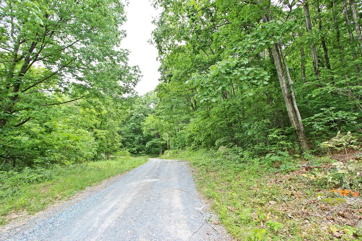 22.08-ac Neddy Mountain Road Del Rio, TN 37727 - Photo 3 of 11 IMG_4075