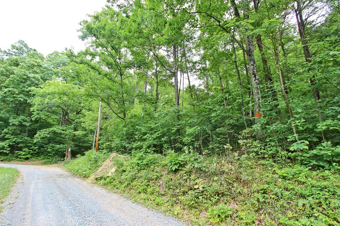 22.08-ac Neddy Mountain Road Del Rio, TN 37727 - Photo 4 of 11 IMG_4076
