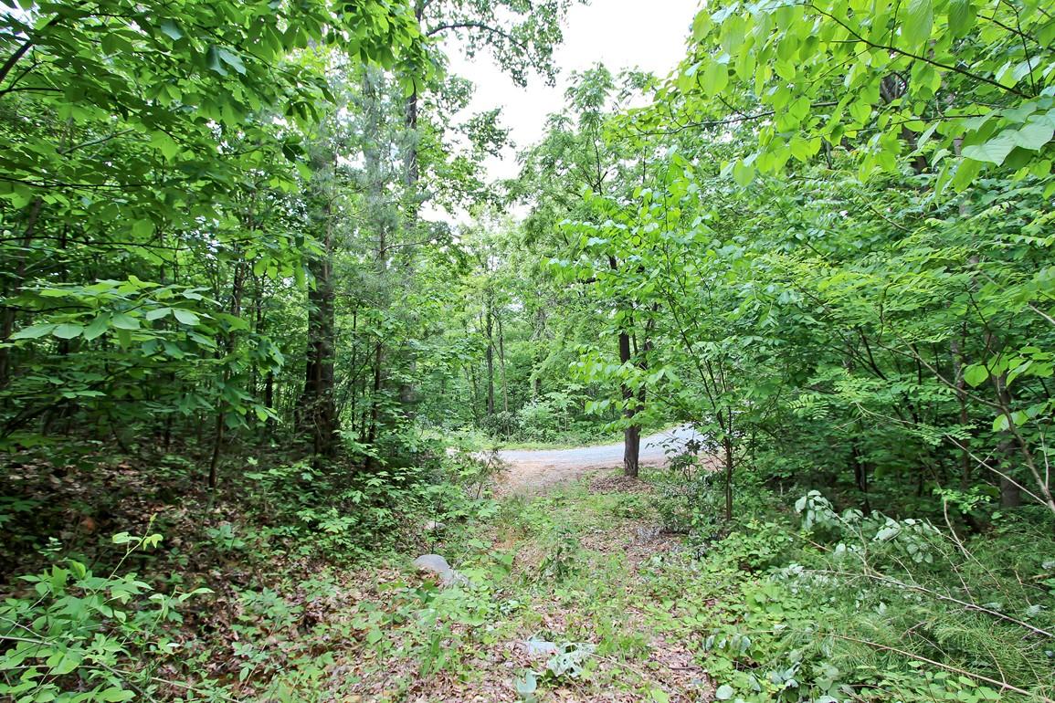 22.08-ac Neddy Mountain Road Del Rio, TN 37727 - Photo 6 of 11 IMG_4079