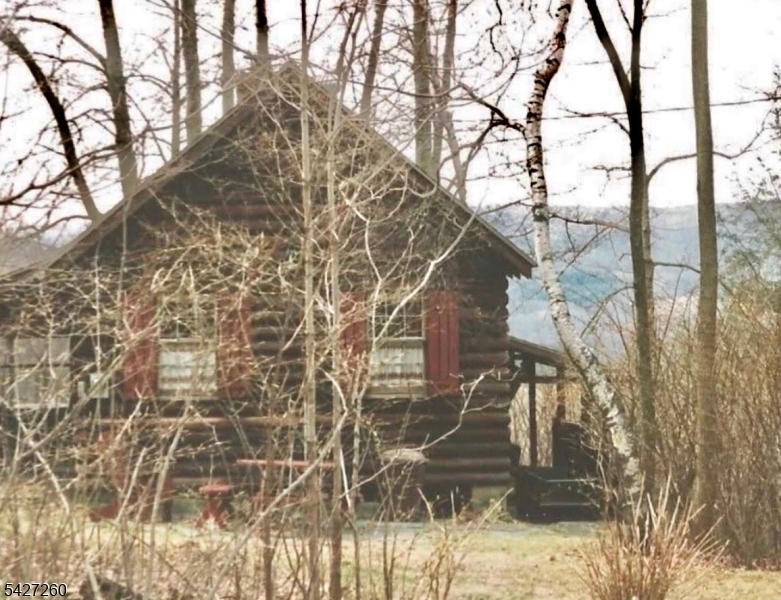 81 Turtleback Road Califon, NJ 07830 - Photo 3 of 49
