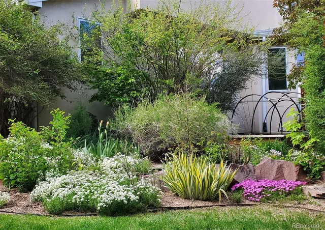 a view of a flower in a garden