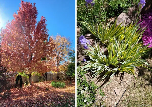 $1,265,000 | 5398 South Jay Drive, Littleton, CO 80123