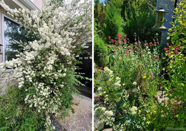 a view of a tree in a garden