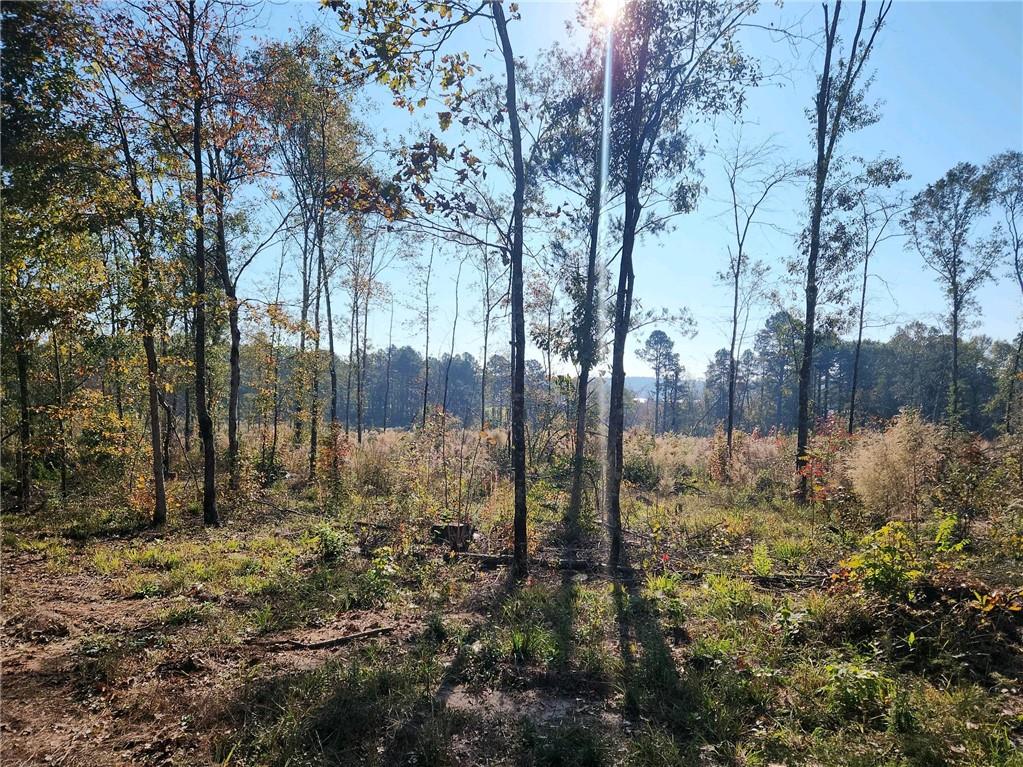 2 Deer Creed Road Natchitoches, LA 71457 - Photo 2 of 6