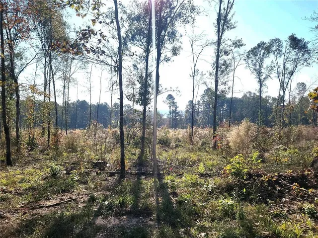 $35,000 | 2 Deer Creed Road, Natchitoches, LA 71457