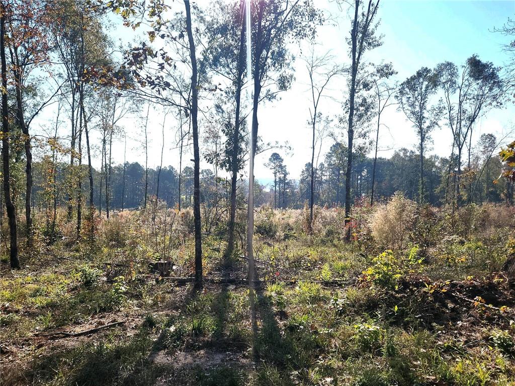 2 Deer Creed Road Natchitoches, LA 71457 - Photo 3 of 6