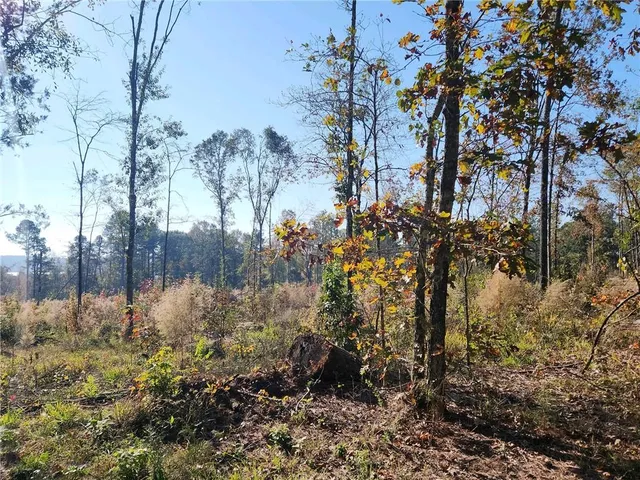 $35,000 | 2 Deer Creed Road, Natchitoches, LA 71457