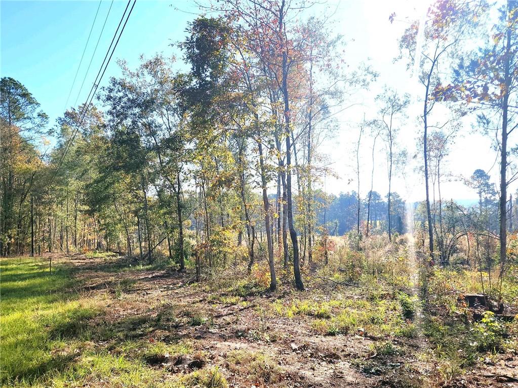 2 Deer Creed Road Natchitoches, LA 71457 - Photo 5 of 6