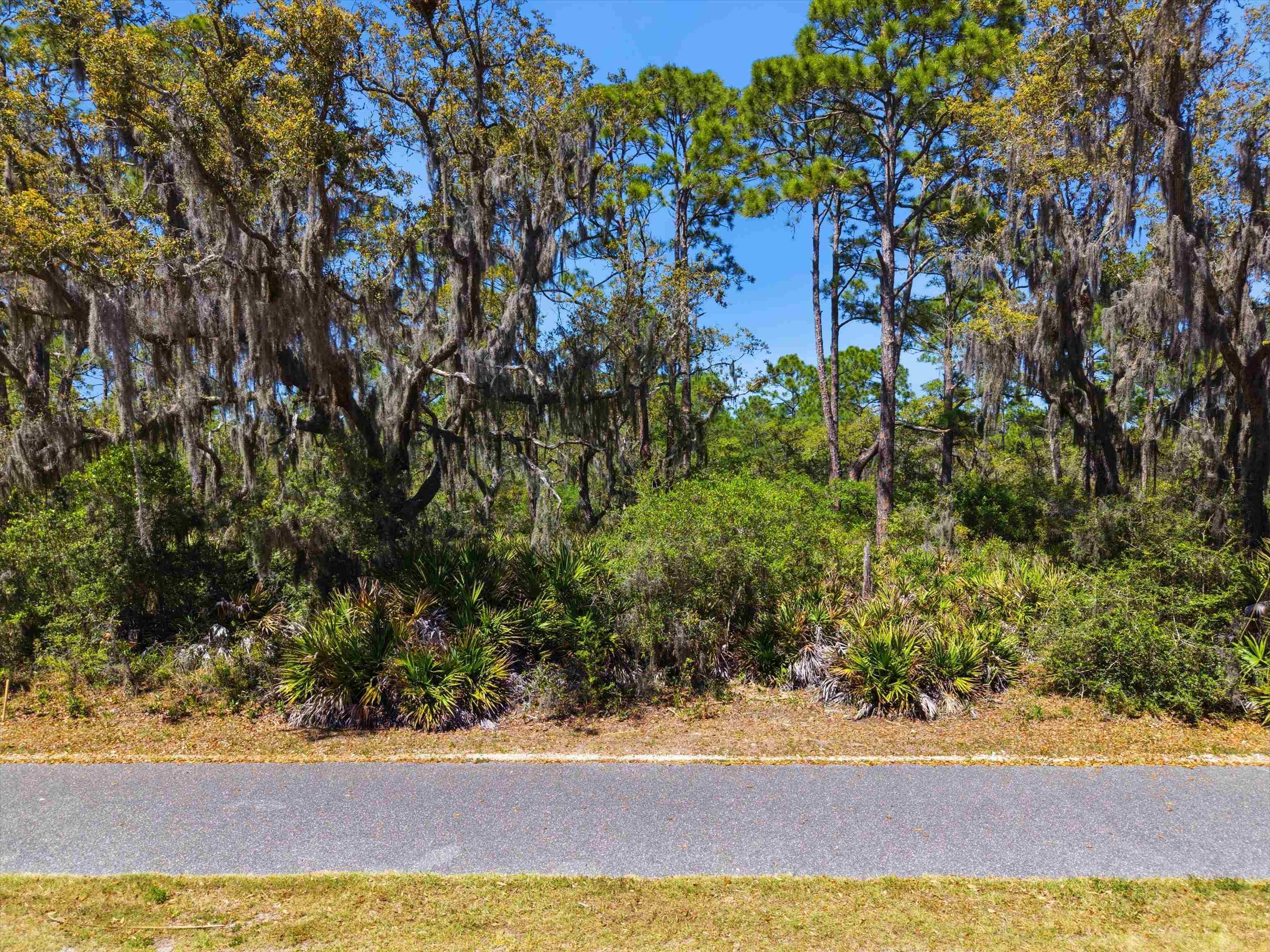 Xxx Mashes Sands Road Panacea, FL 32346 - Photo 23 of 23