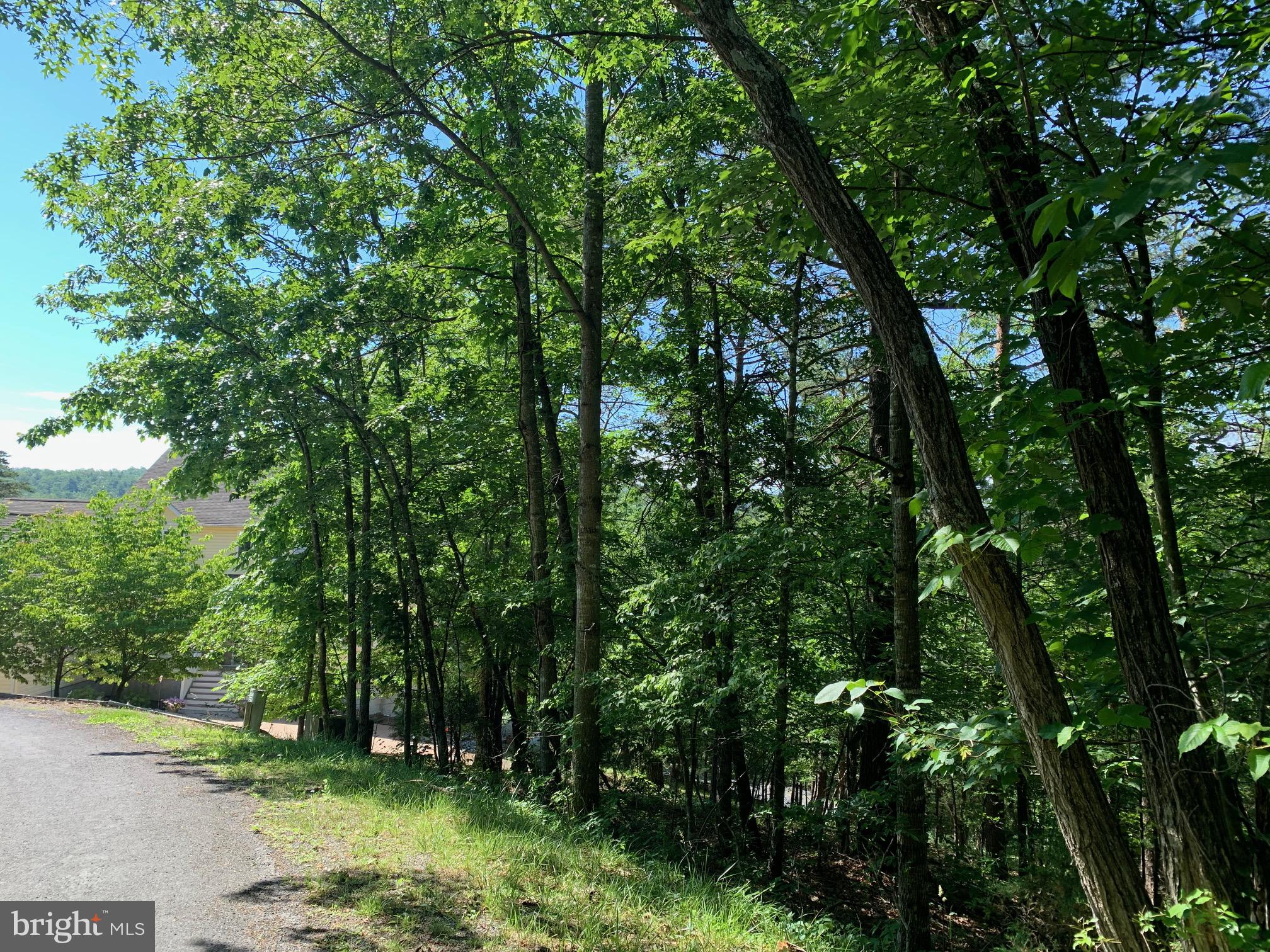 Lee/ashby Road Basye, VA 22810 - Photo 1 of 4 Lot is to the right, potential for view
