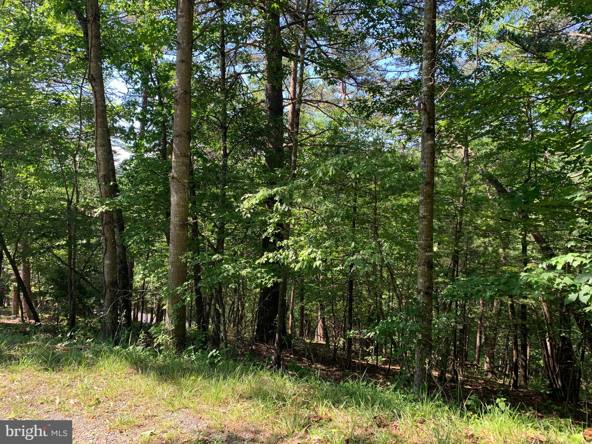 Lee/ashby Road Basye, VA 22810 - Photo 2 of 4 Buildable lot. Road frontage on Lee & Ashby.
