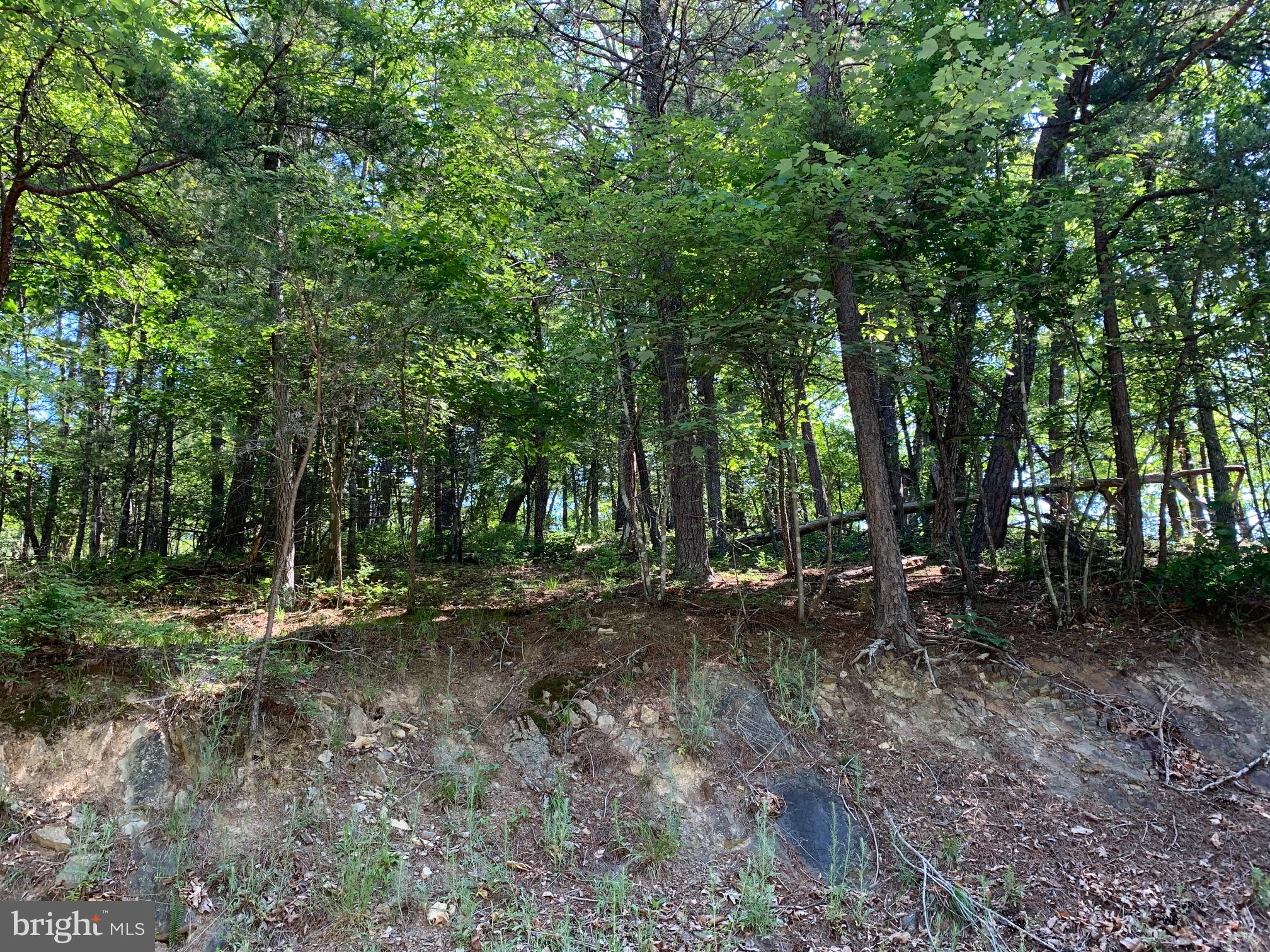Lee/ashby Road Basye, VA 22810 - Photo 4 of 4 Ashby Rd Access