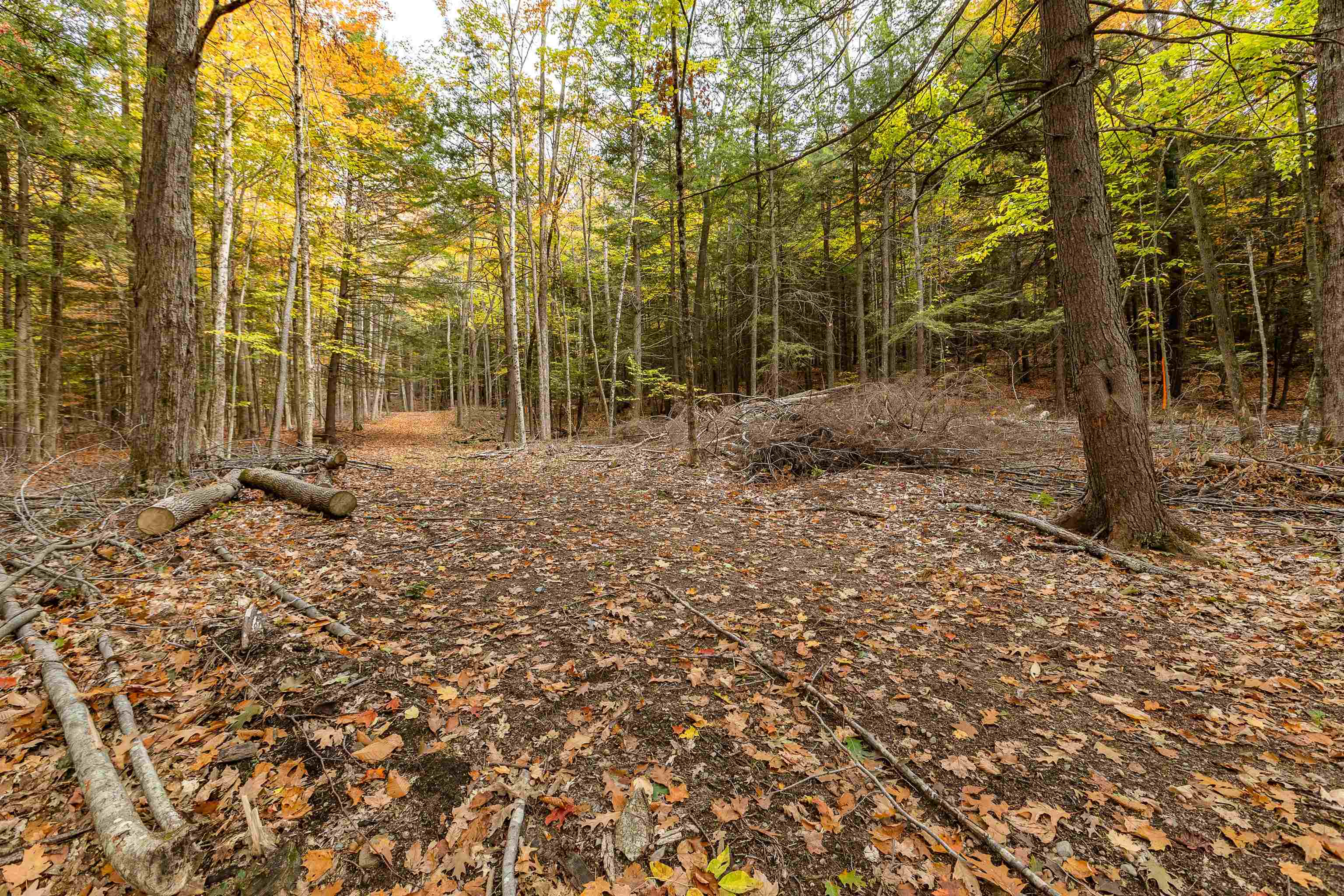62 Stevens Road Hanover, NH 03755 - Photo 12 of 17