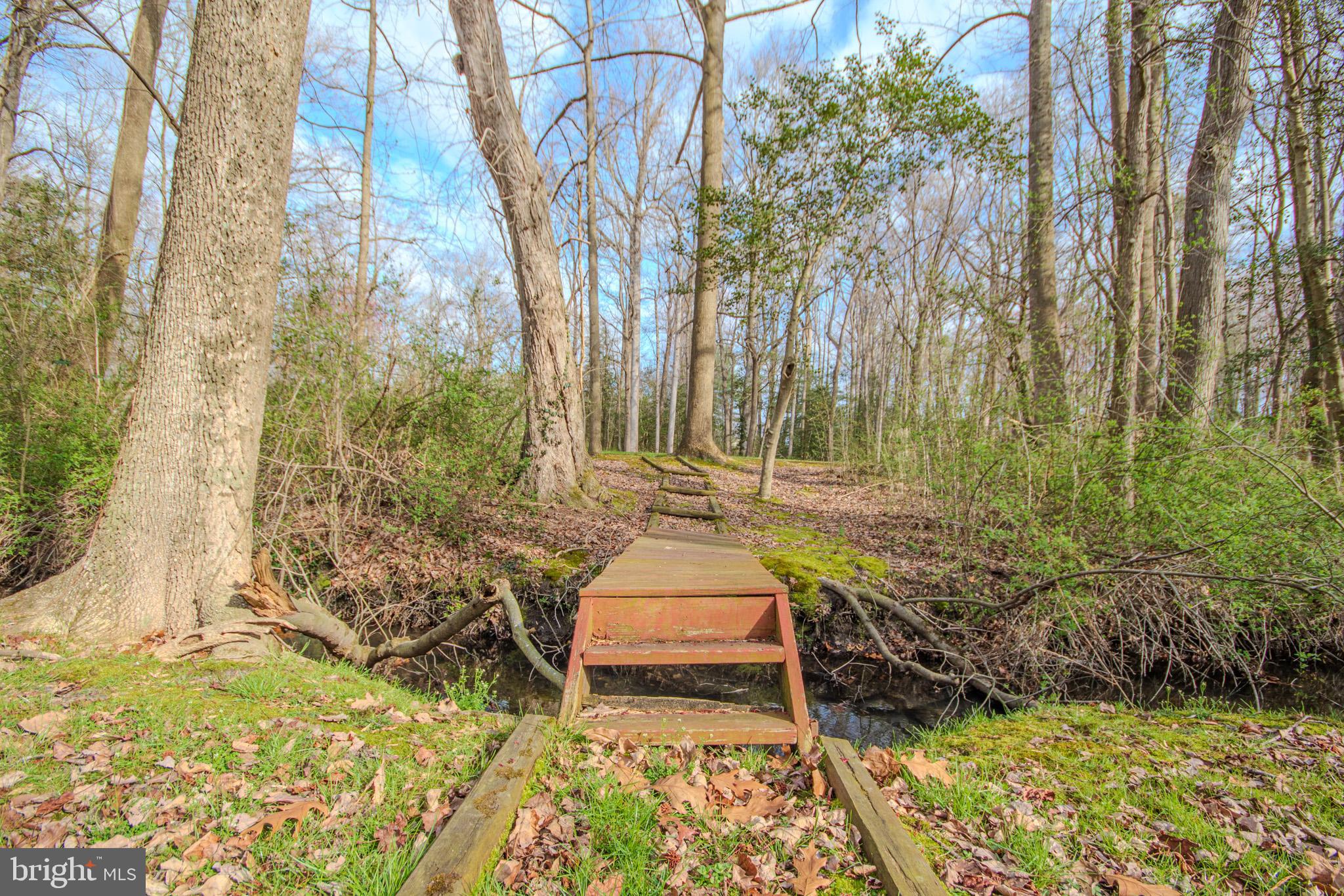 703 Parker Road Salisbury, MD 21804 - Photo 45 of 49