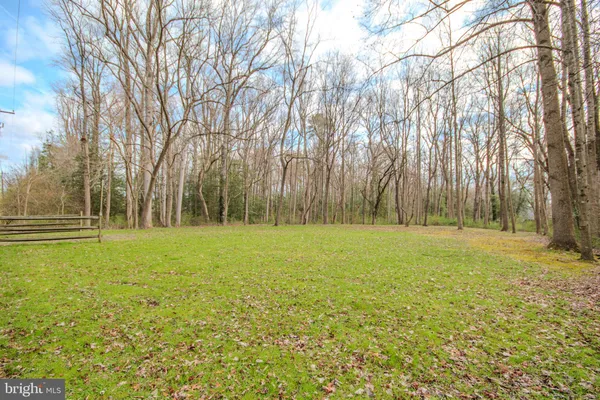a grassy field with trees in the background
