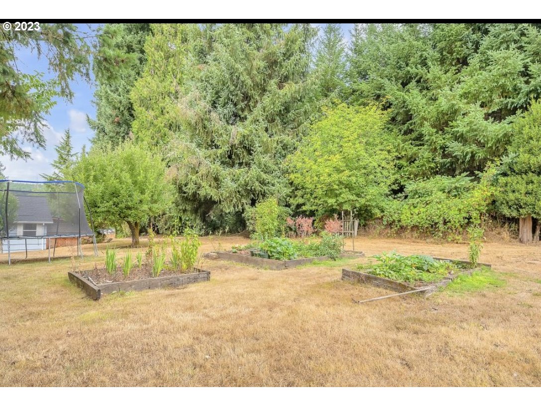61242 Barger Road St. Helens, OR 97051 - Photo 31 of 35 Backyard