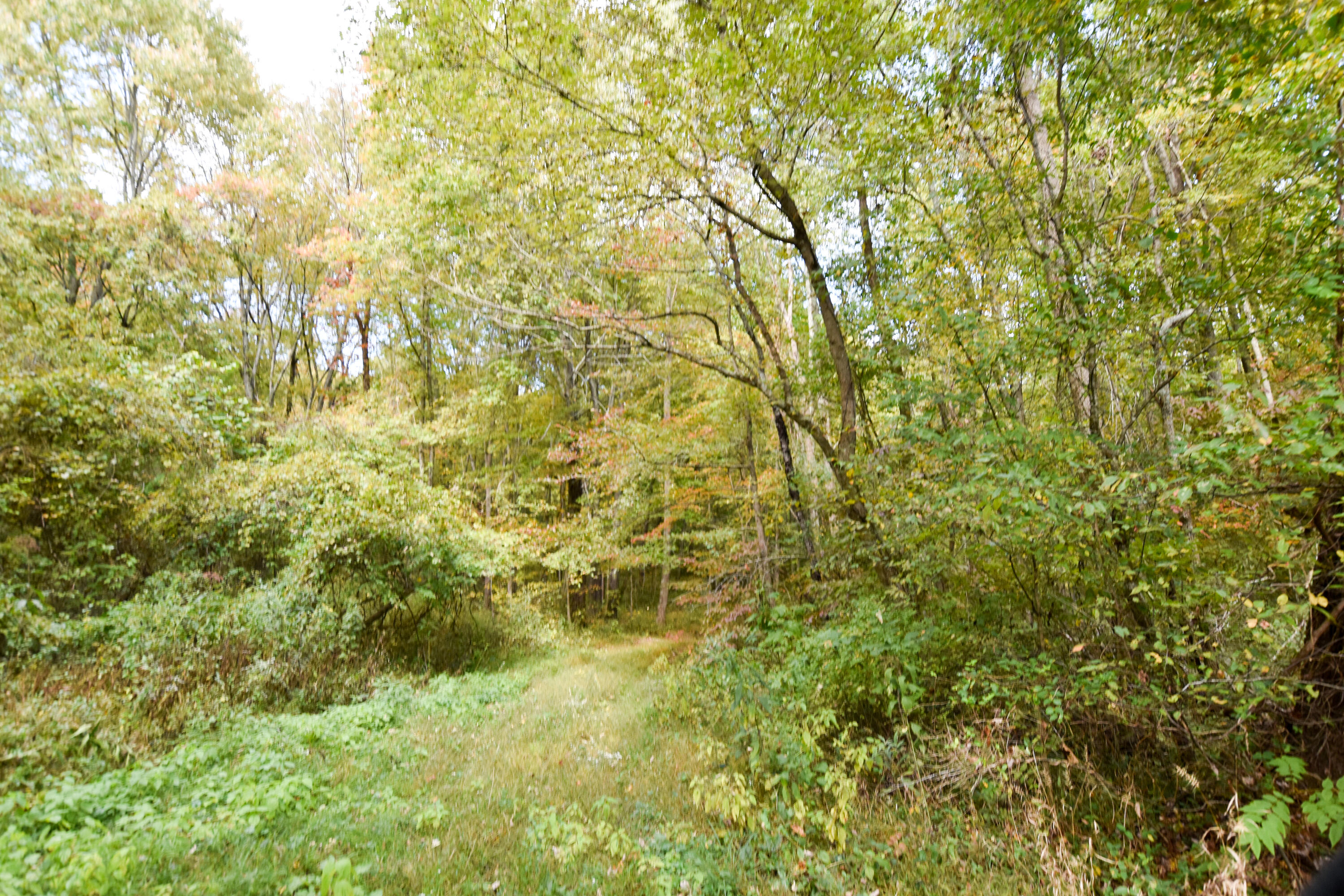 2390 Beechy Creek Road Wallingford, KY 41093 - Photo 71 of 89 DSC_0133