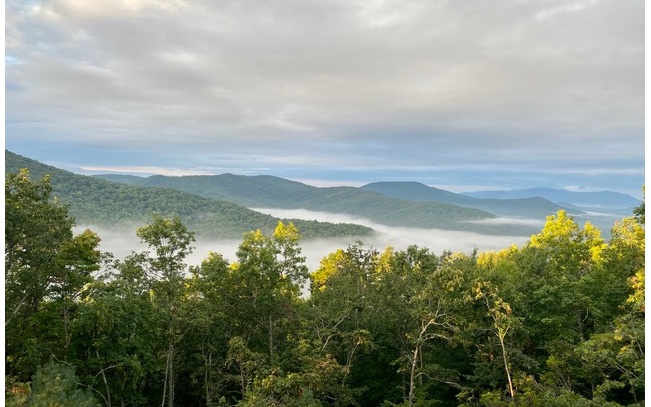 136 Eagle Ridge Morganton, GA 30560 - Photo 23 of 23 Additional View